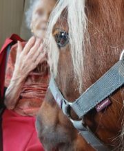 Eclair et Coquin image 6