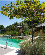 Höfling André Bild 8