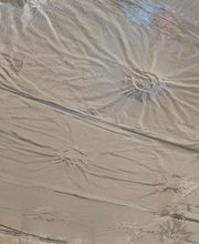 Isol Concept image 18