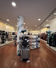 Darjeeling Lille image 2