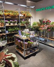 BLUME2000 München Pasing Bild 5