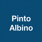 Pinto Albino