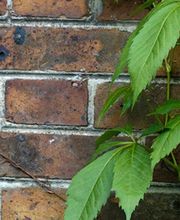 Bouilly Bruno image 3