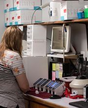 Hiram Animal Hospital image 15