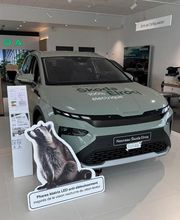 Škoda Chartres - Car Lovers image 3