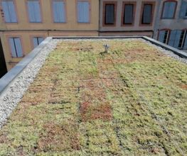 Eurotip image 8