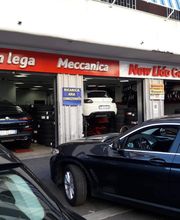 Gallery Cliente