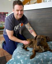 Irvine Valley Veterinary Hospital image 15