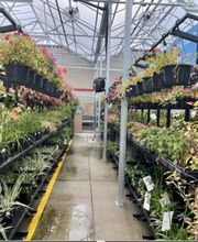 Tractor Supply Co. image 4