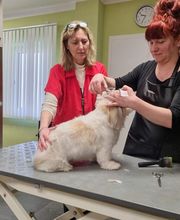 Hund & Katz Schnaittach Bild 2