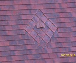 Vaillant Couverture image 5