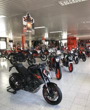 Gallery Cliente