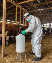 HOOD hygiène pro image 6