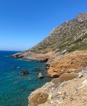 Wild Dodo Sàrl Bild 3