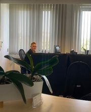 Eine Mitarbeiterin sitzt am Empfang. Fensterfront und großes Whiteboard. Kleine, grüne Topfpflanze im Vordergrund des Fotos.