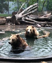 Chahinkapa Zoo image 4