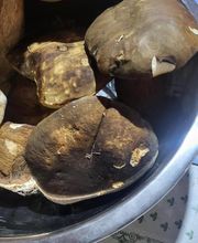 La Grillade Au Bois image 11