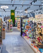 Arcaplanet immagine 1