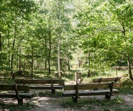 FriedWald Dudenhofen Bild 10