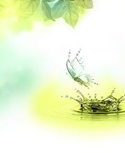 Ploy Nathalie image 3