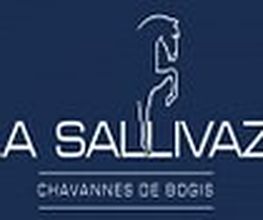Manège de la Sallivaz & Poney club Bild 5