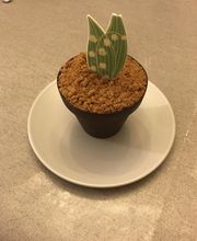 Le Cours'Mandiz image 12