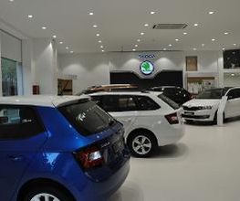 Taller SKODA M Automoción - Aragó imagen 14