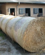 Der Hof Heilpädagogischer Bauernhof und Integrative Freizeitgestaltung e.V. Bild 2