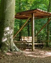 FriedWald Ostheide Bild 8