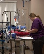 Westside Family Pet Clinic image 3