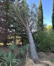 Bourgaud Michel image 12