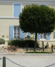 Mairie - Loulay image 6