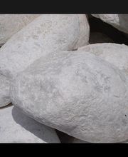 Clavier Bernard image 9