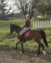 Ecole D'Equitation De Chazeron image 20