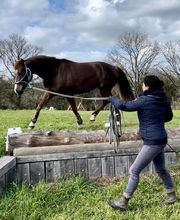Ponte F SARL image 4