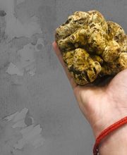 Mugello Tartufi immagine 5