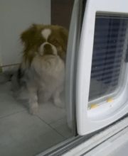 HONEGGER GLAS AG Bild 11