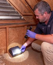 Harris Pest Control, Inc. image 19