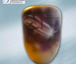 Bestattungen Baumann AG Bild 8