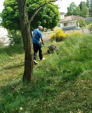 Bossut Multi-Services image 9