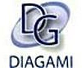 Diagami Expertise image 4