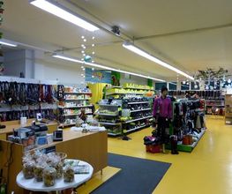 HORSANA Reitsport AG Bild 1
