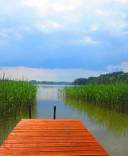 Ferienhaus Eisvogel Bild 1