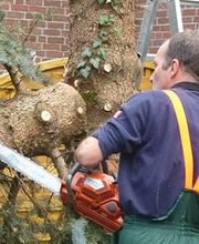 dele Service GmbH Bild 1