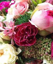 Blumenhaus Wasser Bild 3