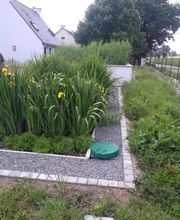 David Fabien T.P image 2