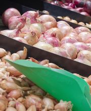 Passion Fruits SAS image 19