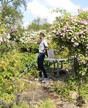 Elztal Gartenbau Bild 35