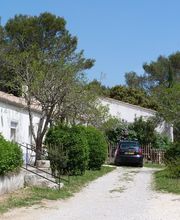 Any d'Avray image 4