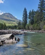 REV Real Estate image 3